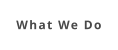 What We Do