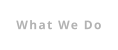 What We Do